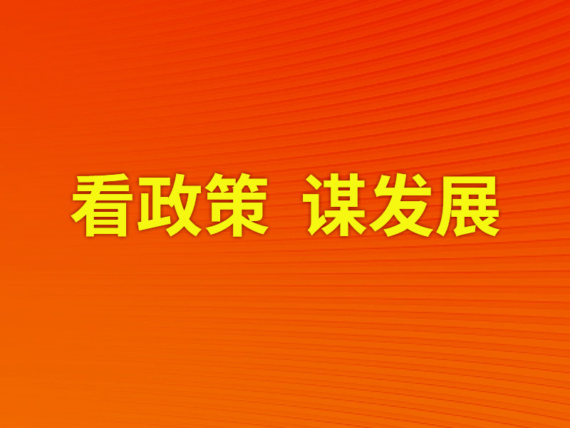 看政策，，谋发展