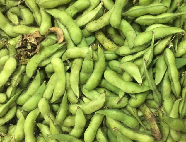 原料