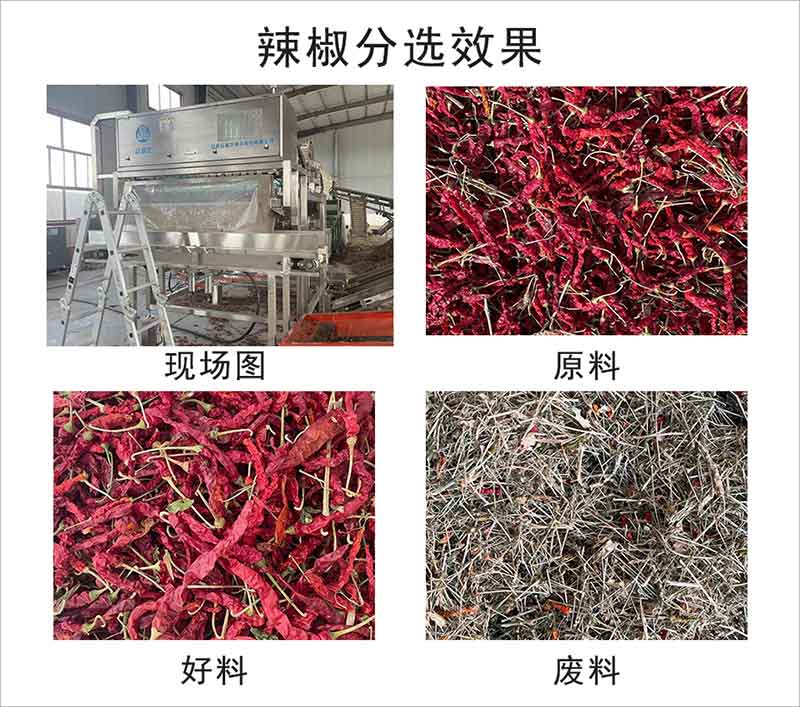 hy590海洋之神检测中心·(中国)有限公司官网