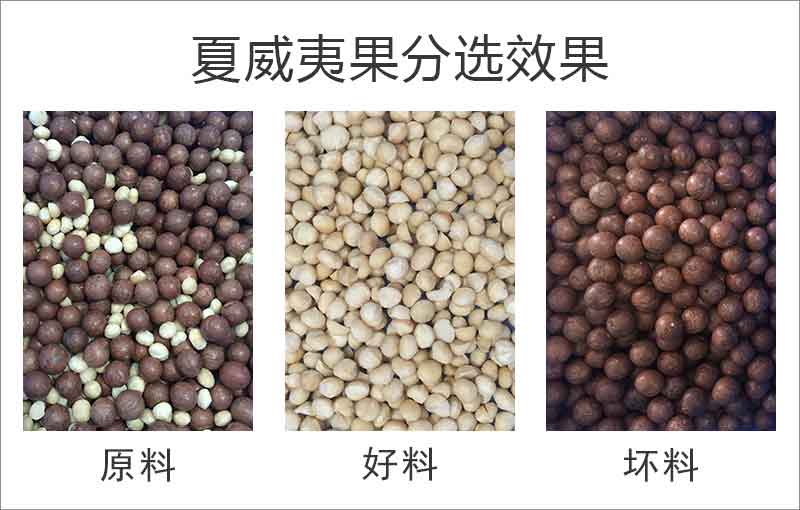hy590海洋之神检测中心·(中国)有限公司官网