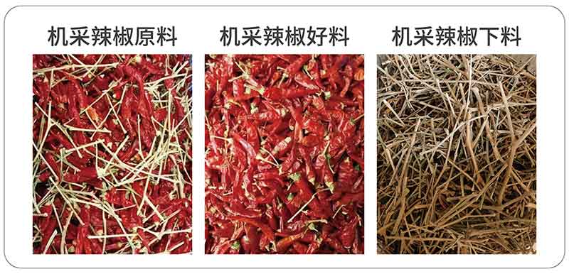 hy590海洋之神检测中心·(中国)有限公司官网