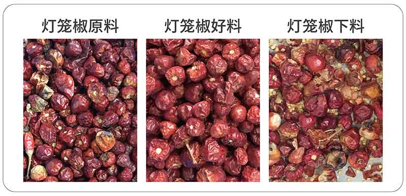 hy590海洋之神检测中心·(中国)有限公司官网