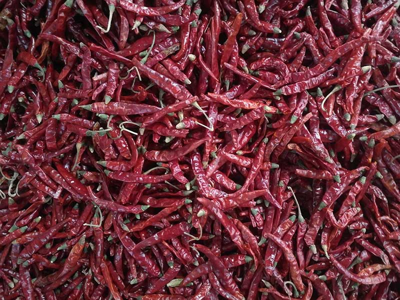 印度-辣椒-Sharma-5041处，，辣椒选把，，原料.jpg