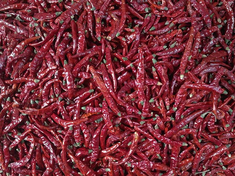 印度-辣椒-Sharma-5041处，，辣椒选把，，好料.jpg
